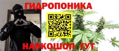 шишки Анжеро-Судженск