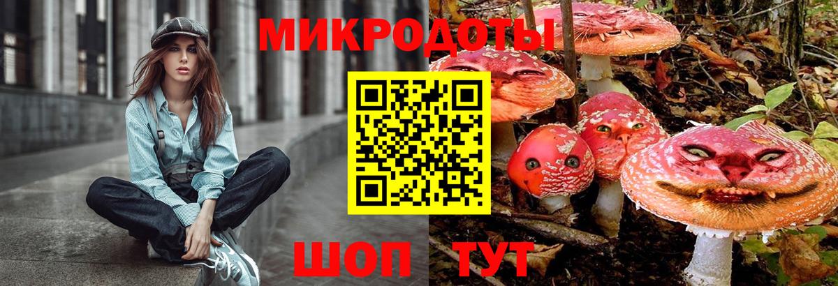 купить наркотики цена  Псилоцибиновые грибы Psilocybine cubensis  Вход с VPN  Ефремов 